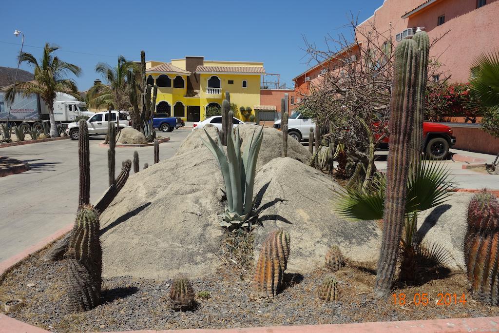 מלון קאבו סן לוקאס Oasis Los Cabos מראה חיצוני תמונה